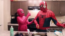 Pink Spidergirl vs Yellow Spidergirl vs Venom vs Spiderman - Superhero Fun in Real Life
