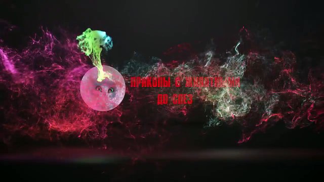 Милые котята. Подними себе настроение