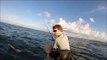 Kayak Fishermen Catch and Release Lemon Shark