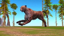 Cheetah Vs Warthog Amazing Fight | Cheetah Attacks Warthog Videos For Children