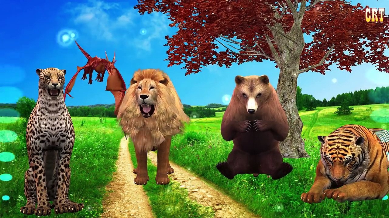 Crazy Gorilla Finger Family Nursery Rhymes | Cartoon Kids For English Song