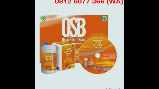 0812-5077-366 (WA) Nutrisi Otak Untuk Anak
