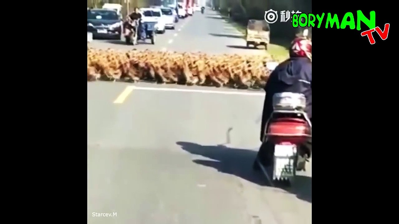 ТЕСТ НА ПСИХИКУ CHALLENGE НЕ ДЕТСКИЕ ПРИКОЛЫ 2016 ЛУЧШИЕ