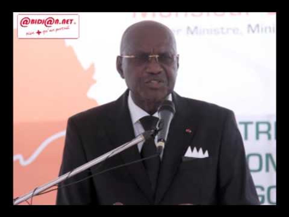 Programme présidentiel d'électrification: Intervention de M. Abinan Pascal