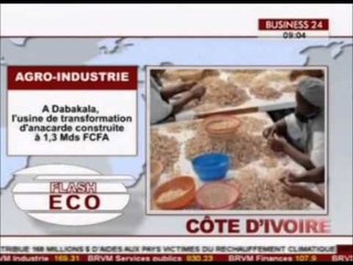 Flash Eco CI   A Dabakala, l'usine de transformation d'anarcade construite a 1,3 Mds FCFA