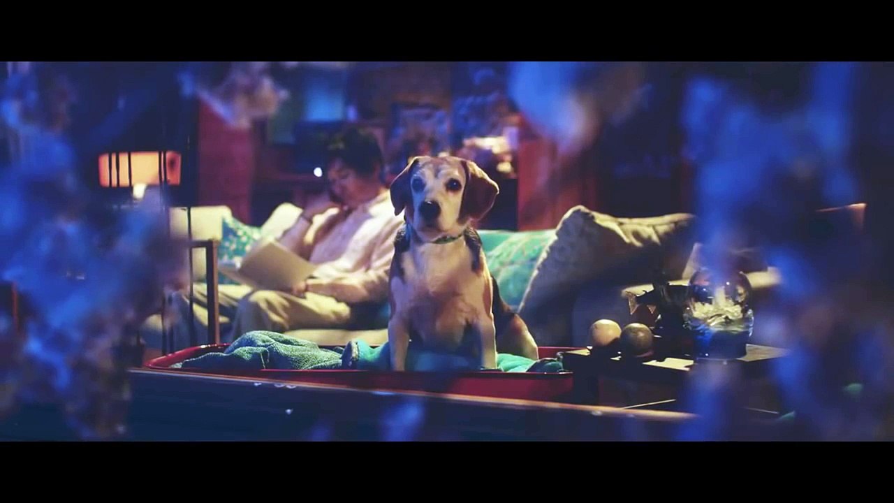 Toyota Mega Feels Dog Commercial-nHAwXOUfJDs