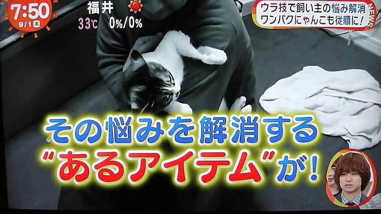 愛猫家の悩み,爪切り❗️安心してください,猫をビックリするほどおとなしくさせるアイテムがあります-w2zzn_RSPGA