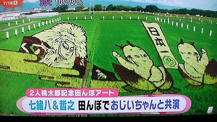 見事な田んぼアート -勘九郎さんの子供の[門出二人桃太郎]初舞台を記念して作られた -田んぼではお爺様の勘三郎さんと共演-SBYWwucZLxs