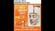 [ (WA)0818-0814-4980 ] OSB Vitamin Otak