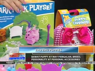 News to Go - Zhu Zhu puppies make fun gift for kids 4/20/11