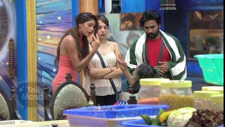 Manveer's SHOCKING CONFESSION To Lopa - Bigg Boss 10