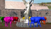 Learn Cow Colors Colourfull Song| Teach Colours Cartoon Cow Rainbow Colors Kids Rhymes