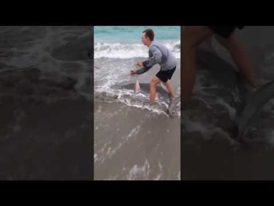 Fishermen Remove Hook From Shark's Mouth at War...