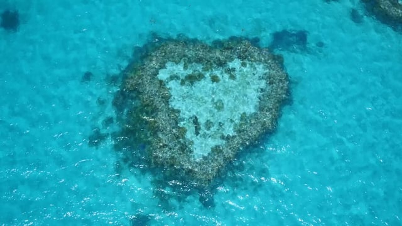 Brinkley's Whitsundays
