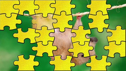 Kids Learn Animal Names Educational Animal Kids Games Puzzle for Children by Antti Lehtine