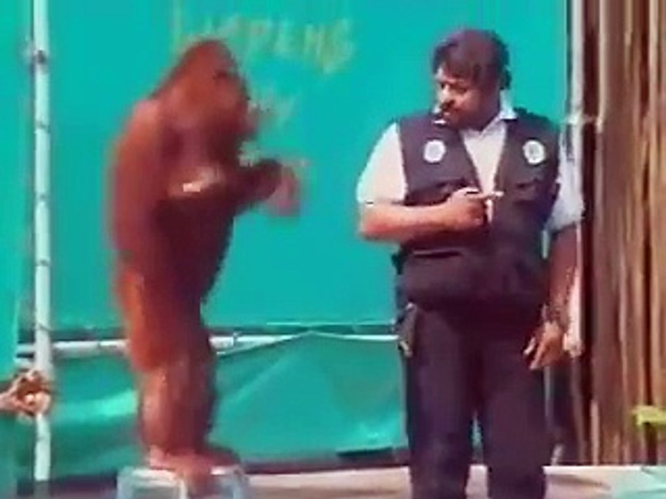 magic show :) Try Not To Laugh