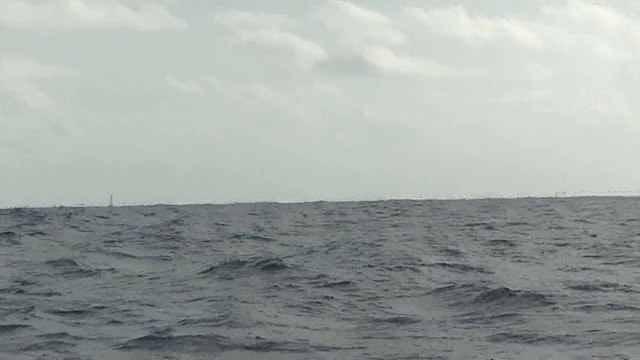 J67 : Navigation à vue pour Jean Le Cam et Yann Eliès / Vendée Globe