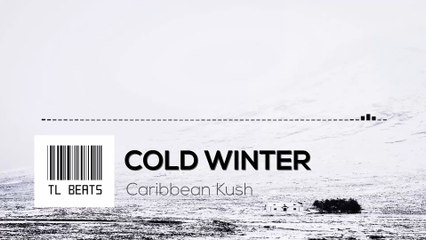 TRAP Rap Beat 2017 "Cold Winter" TL Beats