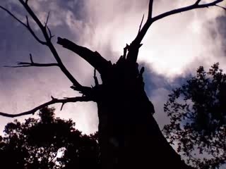 Le mystère de la bouteille bleue.10