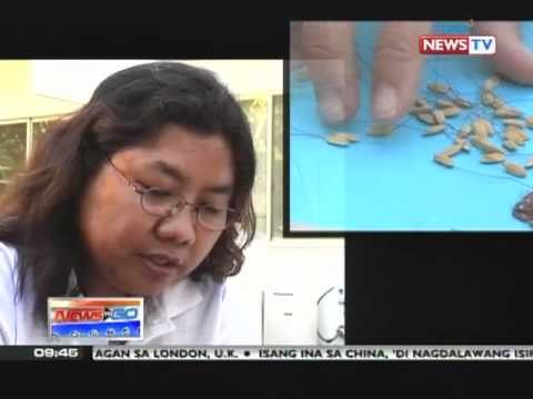 News to Go - Artist makes portraits using rice grains 05/17/11