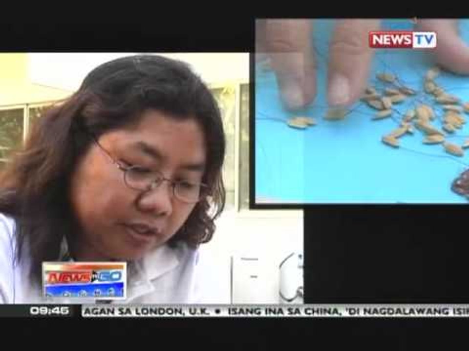 News to Go - Artist makes portraits using rice...