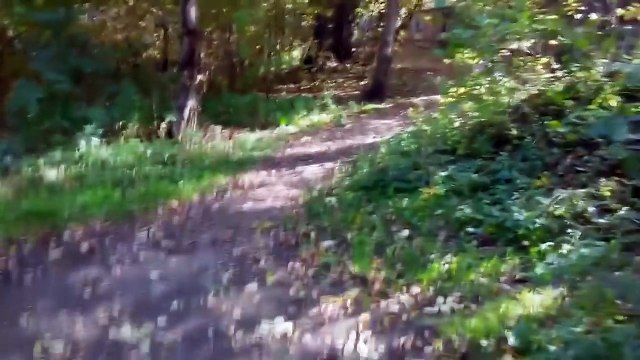 ДЕТЯМ НЕ СМОТРЕТЬ Горячие ПРИКОЛЫ ДЛЯ ВЗРОСЛЫХ Чисто по нашему СМЕШНО до БОЛИ №294