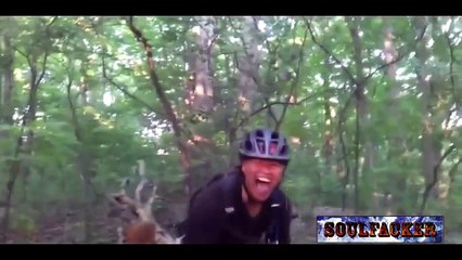 подборка хитовых приколов Ноябрь 2013 я плакал