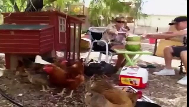 НОВЫЕ ПРИКОЛЫ 2016 Август ★ ЛУЧШИЕ ПРИКОЛЫ ★ Best Fail Compilation ★ НЕ ДЕТСКИЕ ПРИКОЛЫ 18 2016 №47