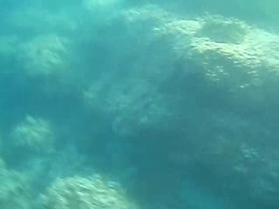Video_Sous_Marine20070908_35