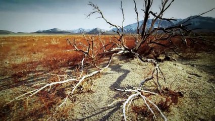 5 Places With No Laws