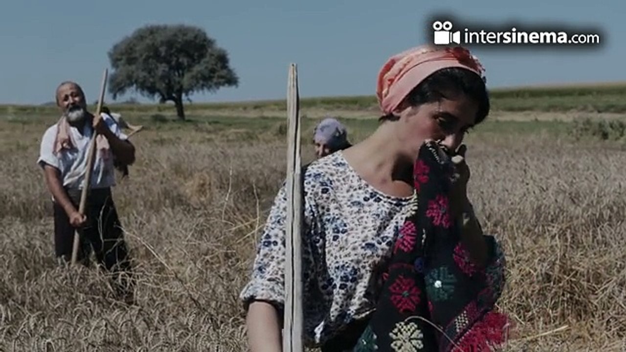 aşık Filmi