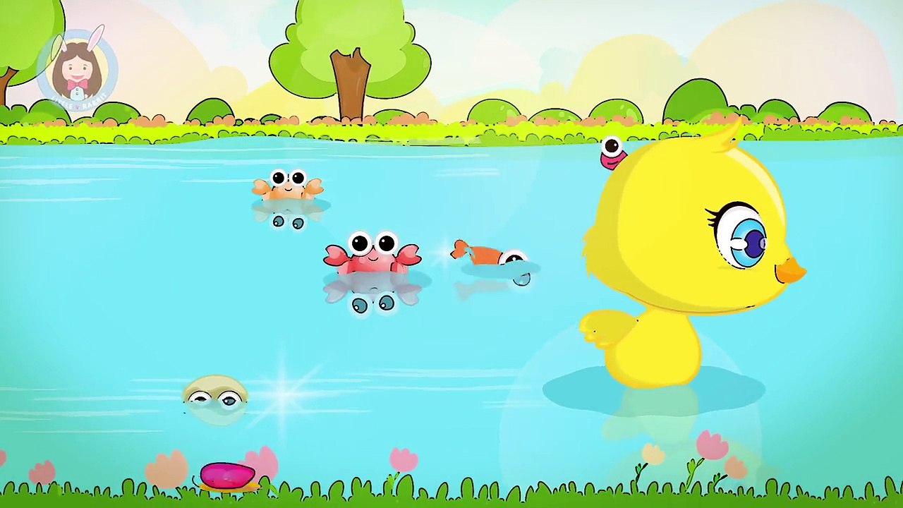เพลง เป็ด | ก้าบ ก้าบ ก้าบ เป็ดอาบน้ำในคลอง | การ์ตูน เพลงเด็ก น่ารักๆ by Little Rabbit