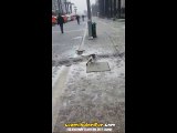 Kar Görünce Ne Yapacağını Bilemeyen İzmir Kedisi