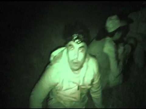 Born to be Wild: Sea Otter & From Oceans to Mountains