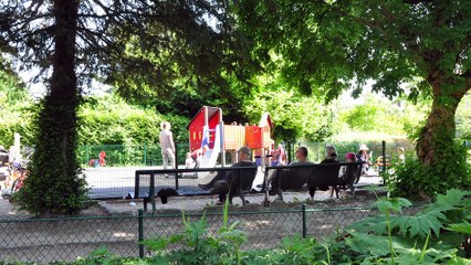 Voeux 2017 de Sebastien Meurant