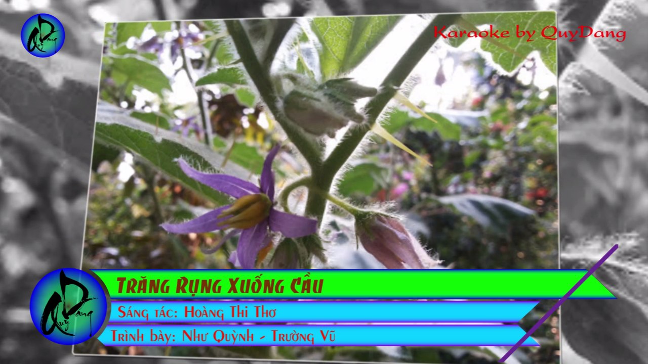 Trăng Rụng Xuống Cầu | Như Quỳnh - Trường Vũ | Karaoke Beat HD