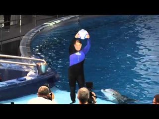 Dolphin predicts 1st pick of 2011 SuperDraft