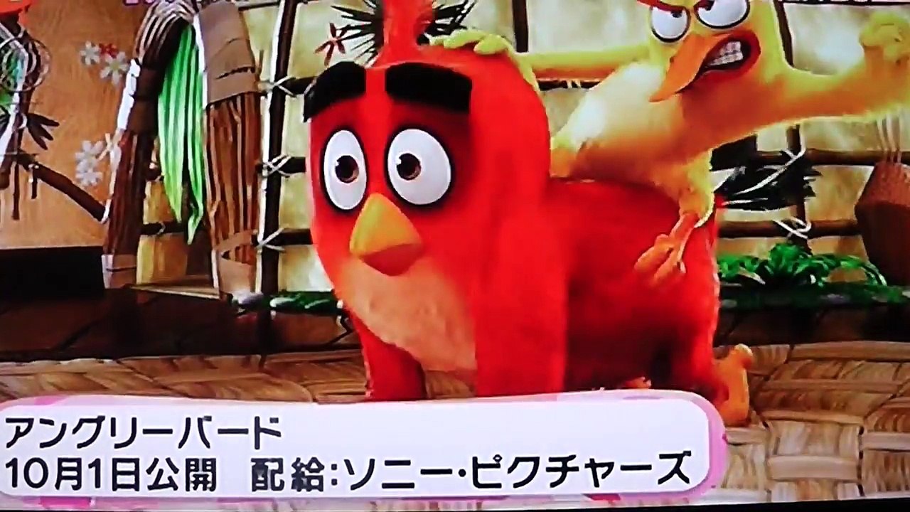 坂上忍 りんあんちゃんにタジタジ：アングリーバード公開アフレコ-wSitI2bs_N4
