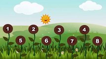 Learn Counting With Sunflowers For Kids   learning numbers for kids   Kids Learn to Count