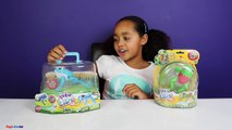 Little Live Pets Frogs & Lily Pad - Frog Race Challenge - Kids Toy Review & Play
