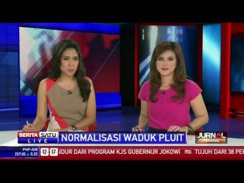 Waduk Pluit, Pemprov DKI Targetkan Rampung Desember