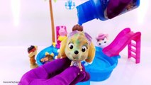 Disney Frozen Bath Paint Paw Patrol Bath Squirters Pool Party Toy Surprises Learn Colors