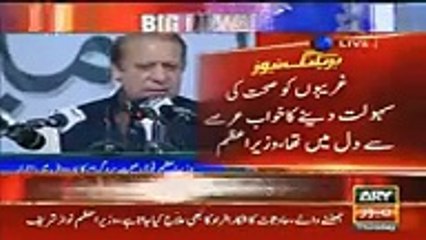 Syasatdan Jhoot Bolte Hain:- A Woman To Nawaz Sharif During Speech