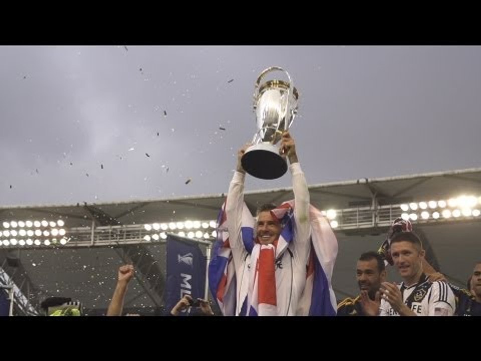 David Beckham: The Final Image