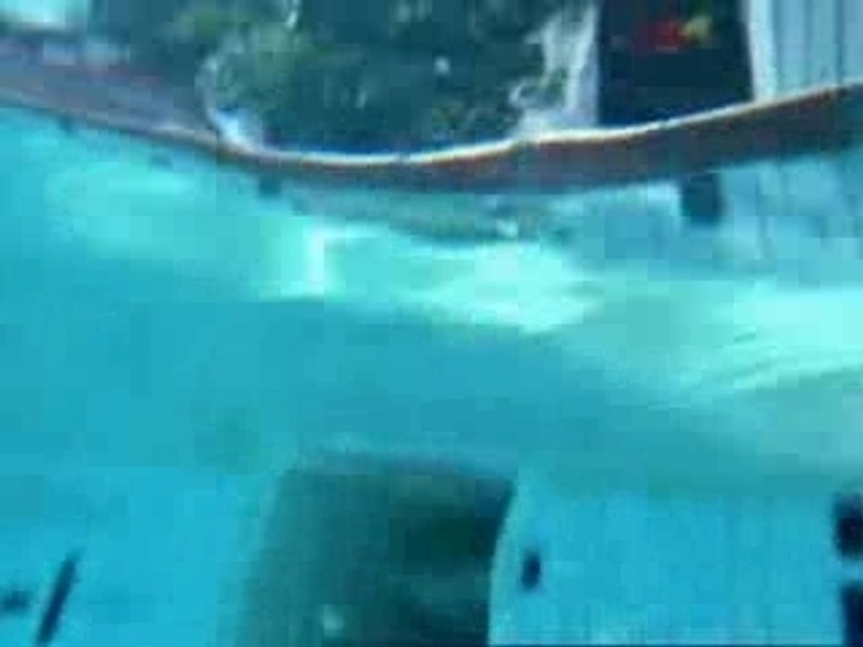 Pub Piscine