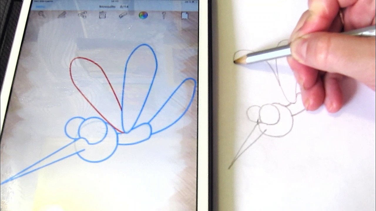 Как нарисовать поэтапно комара. Рисуем комара по шагам How to draw a Mosquito step by step