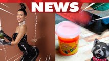 Kim Kardashian volta ao instagram+Vlad é acusado de copiar faca quente+Spok é xingado na rua