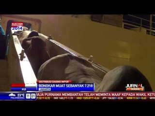 Ribuan Sapi Impor Siap Potong Tiba di Indonesia