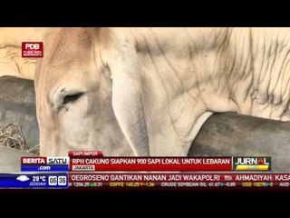 RPH Cakung Belum Dapat Jatah Sapi Impor