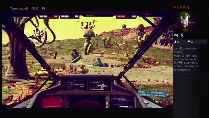 Skozara nico the crew (2)